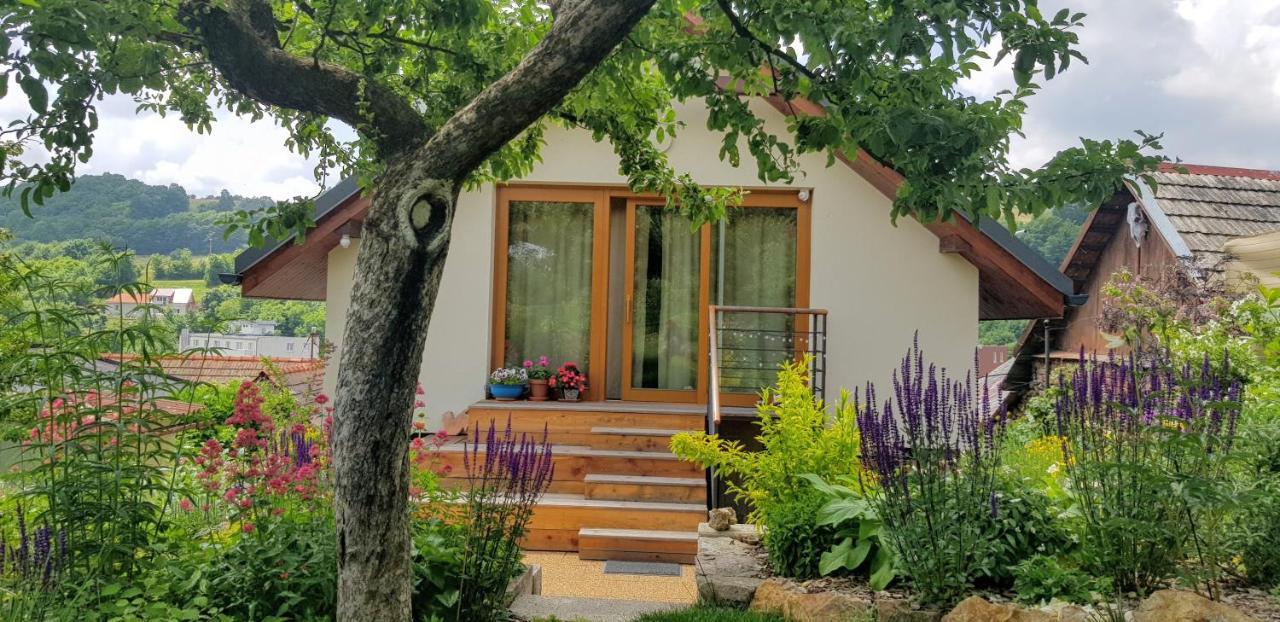 Domcek V Zahrade Villa Banská Štiavnica Exteriör bild