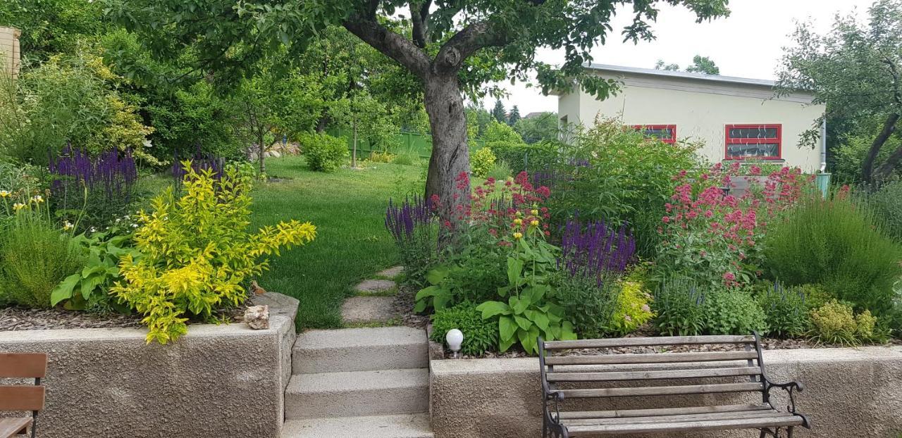 Domcek V Zahrade Villa Banská Štiavnica Exteriör bild